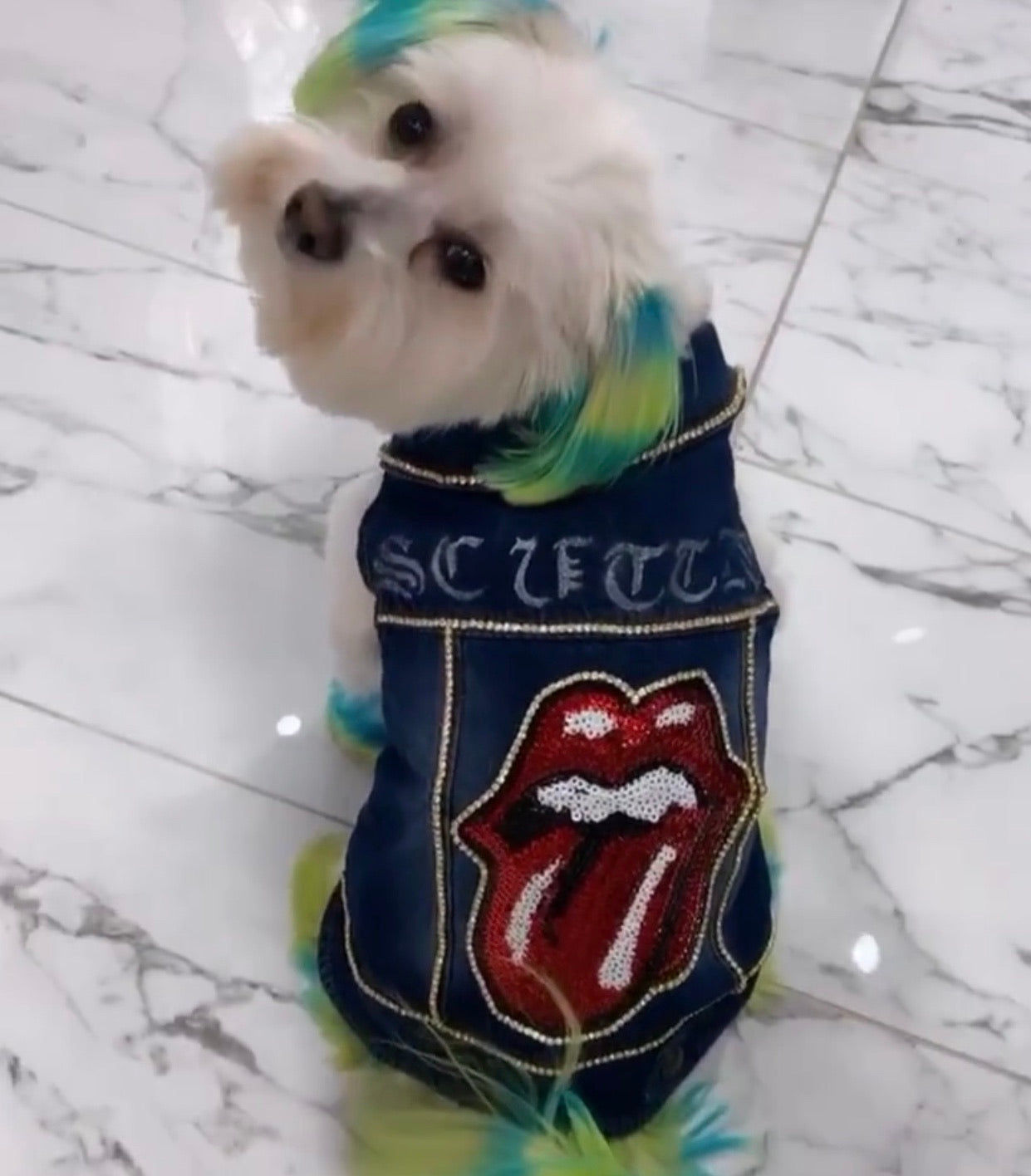 Rolling Stones Doggy Jean Jacket St. Raine